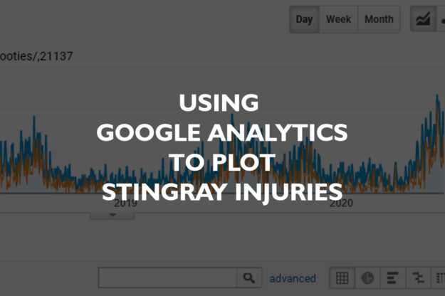 Predicting Peak Stingray Injury Months Using Google Analytics