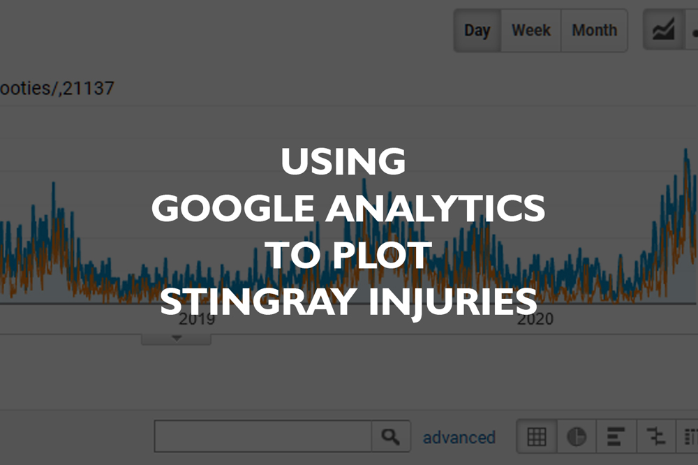 Predicting Peak Stingray Injury Months Using Google Analytics